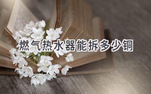 揭秘燃?xì)鉄崴鲀?nèi)部：隱藏的“寶藏”值多少錢？