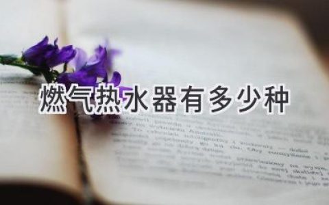 燃?xì)鉄崴鳎侯愋头倍?，選購有道