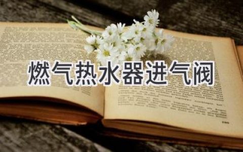 燃氣熱水器安全守護神：揭秘進氣閥工作原理及維護保養(yǎng)