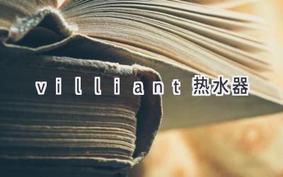 villiant熱水器