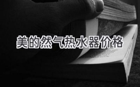 美的燃?xì)鉄崴鳎簝r格、功能、選擇指南